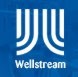 Wellstream